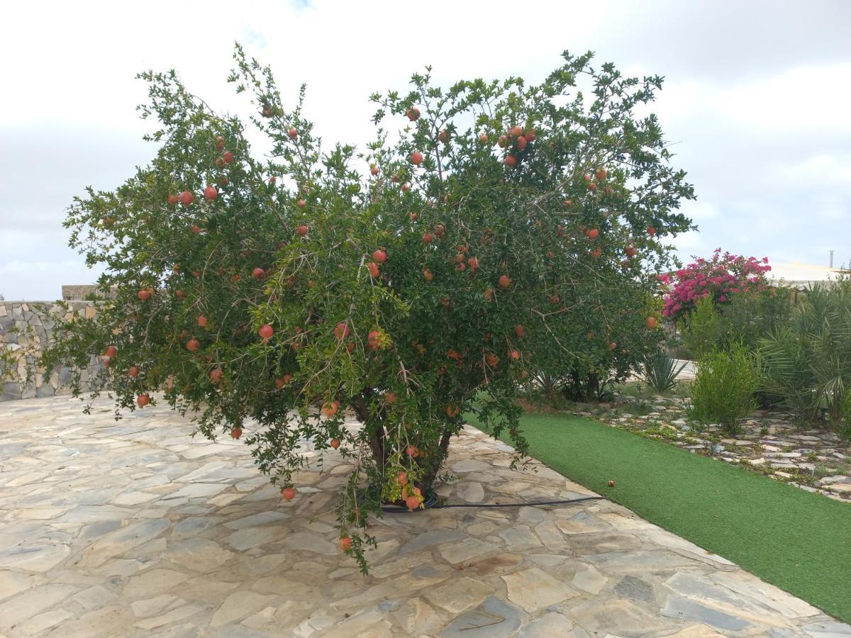 Dar Sawda Jebel Shams Resort منتجع جبل شمس מראה חיצוני תמונה